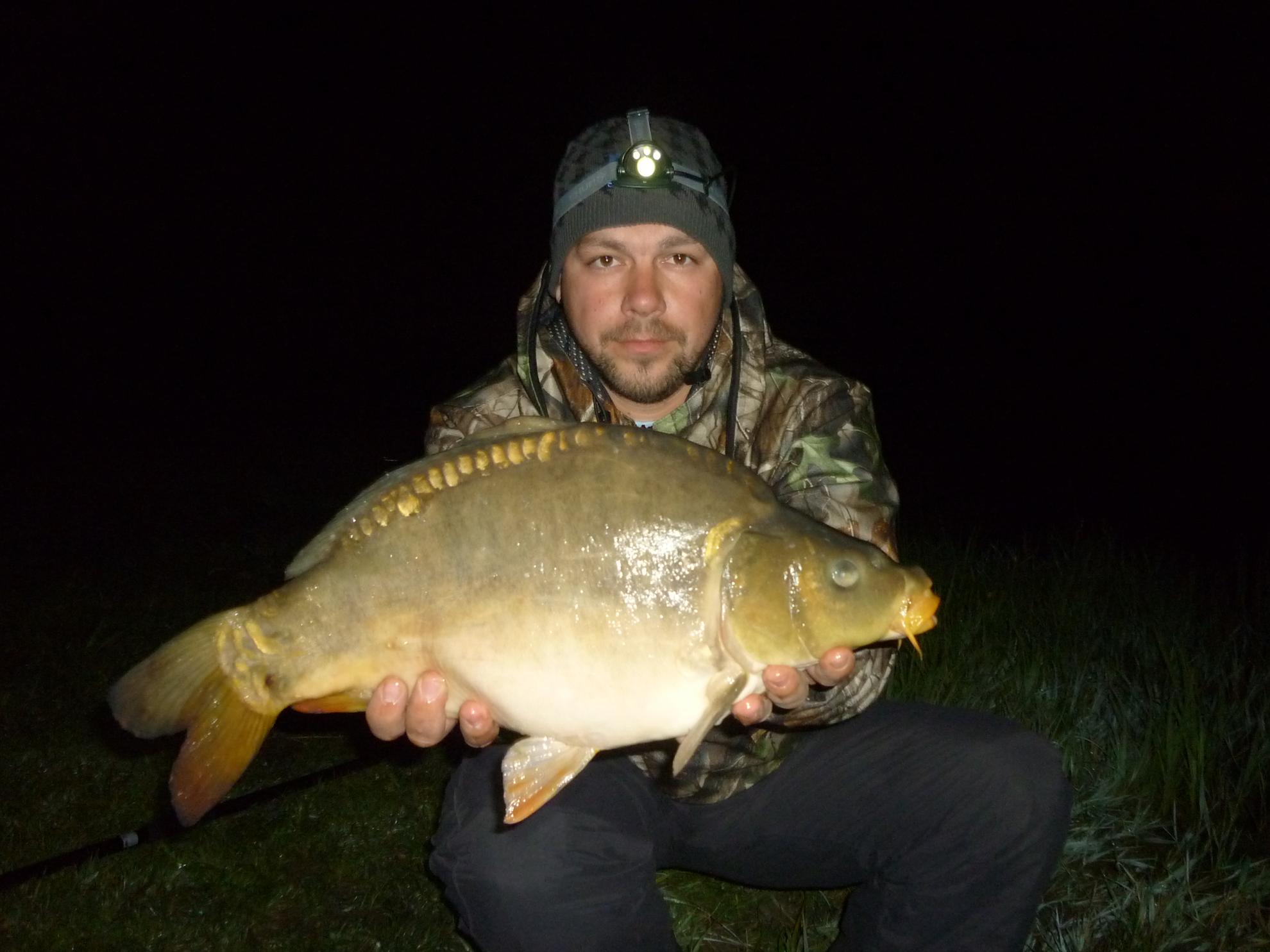 Stejeris 2011 - p1010948.JPG